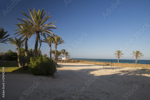 Sunset and palm trees, Djerba, Tunisia.