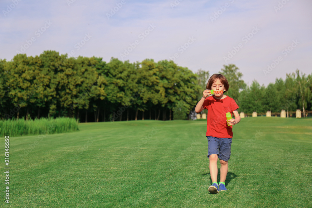 Cute little boy blowing bubbles in park on sunny day