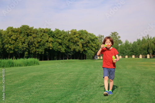 Cute little boy blowing bubbles in park on sunny day © Pixel-Shot