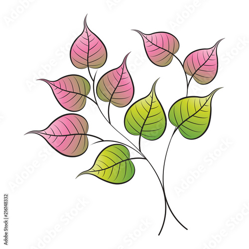 Canvas-taulu branch with Bo leaves vector drawing