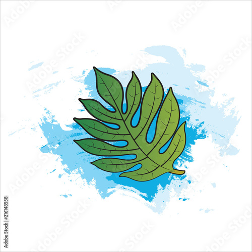 breadfruit leaf over blue paint brush strokes vector illustration