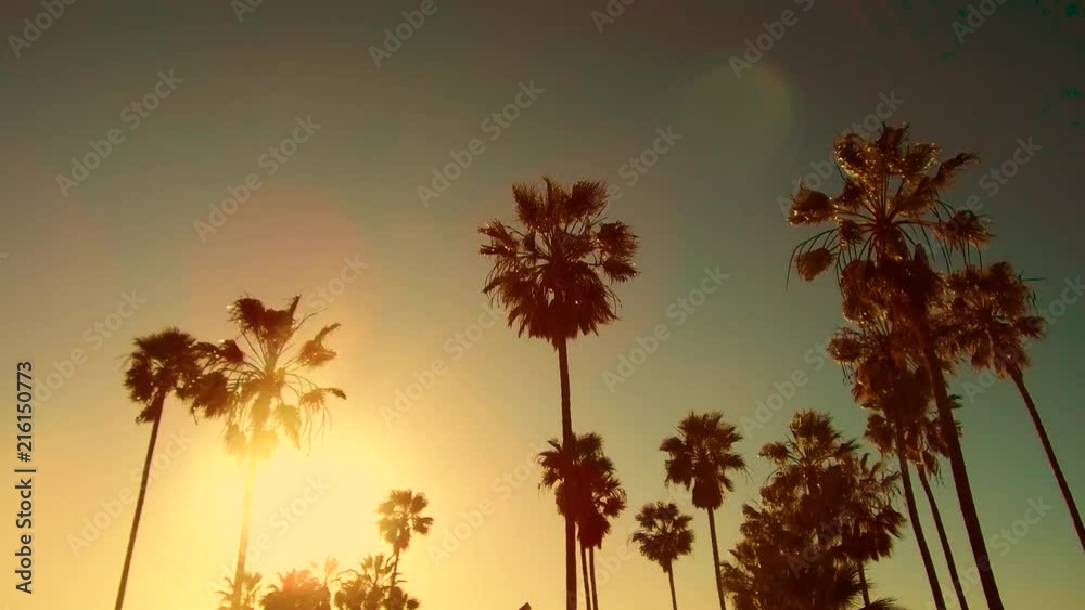 summer holidays concept - palm trees over sun shining in blue sky at venice beach, california