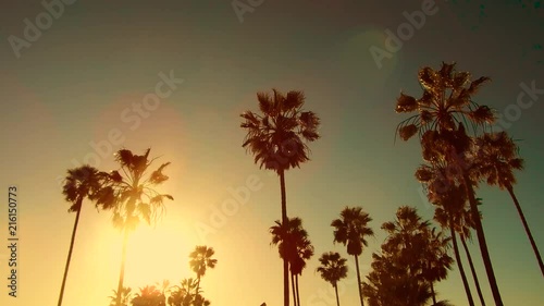 summer holidays concept - palm trees over sun shining in blue sky at venice beach, california photo
