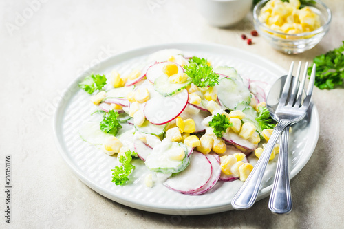 Summer vegetarian radish, cucumber corn goat cheese salad with yogurt dressing. Selective focus, space for text.