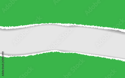 Ripped paper. Vector of ripped paper. the paper was ripped background.