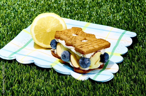 Ice cream sandwiches photo