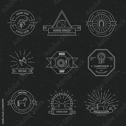 Equine Hipster Logo