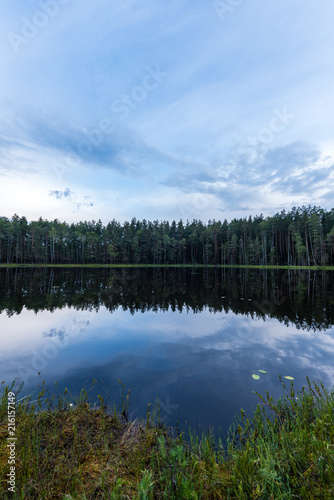 Landscape of the forest lake in Europe