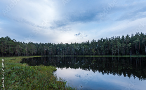 Landscape of the forest lake in Europe