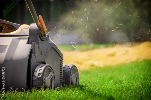 фотографія Aeration of the lawn in the garden. Yellow aerator on green grass