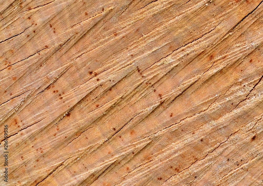 Cross-cut logs, wood texture, life rings, background for presentations, wallpaper Cross-cut logs, wood texture, life rings, background for presentations, wallpaper