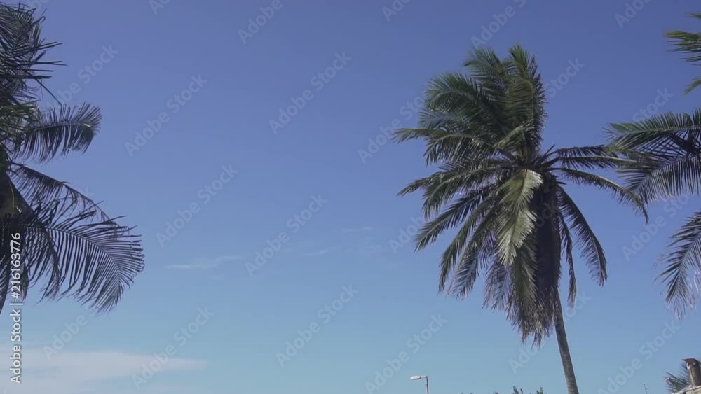 Coqueiros 60fps
