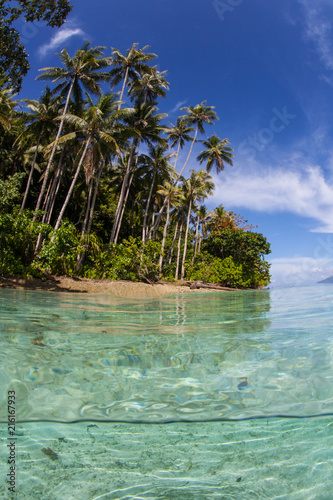 Remote Beach and Palm Trees in Tropical Pacific Ocean