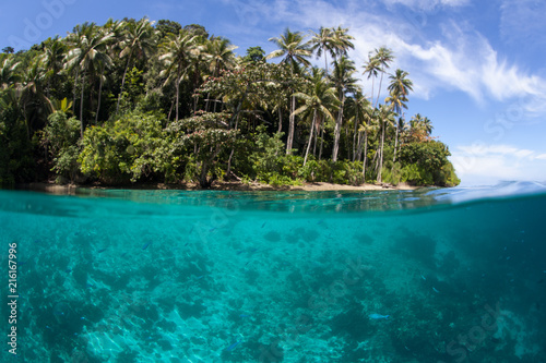 Warm, Clear Water Surrounds a Tropical Island in the Pacific Ocean