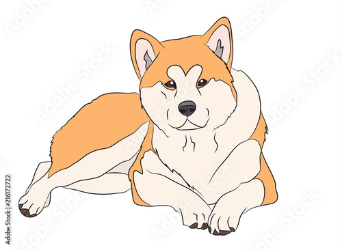 dog lies, vector