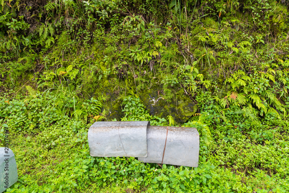 Apiary or Beekeeping farm the main road along the mountain forest rain gutter. Apiary or Beekeeping farm the main road along the mountain forest rain gutter.