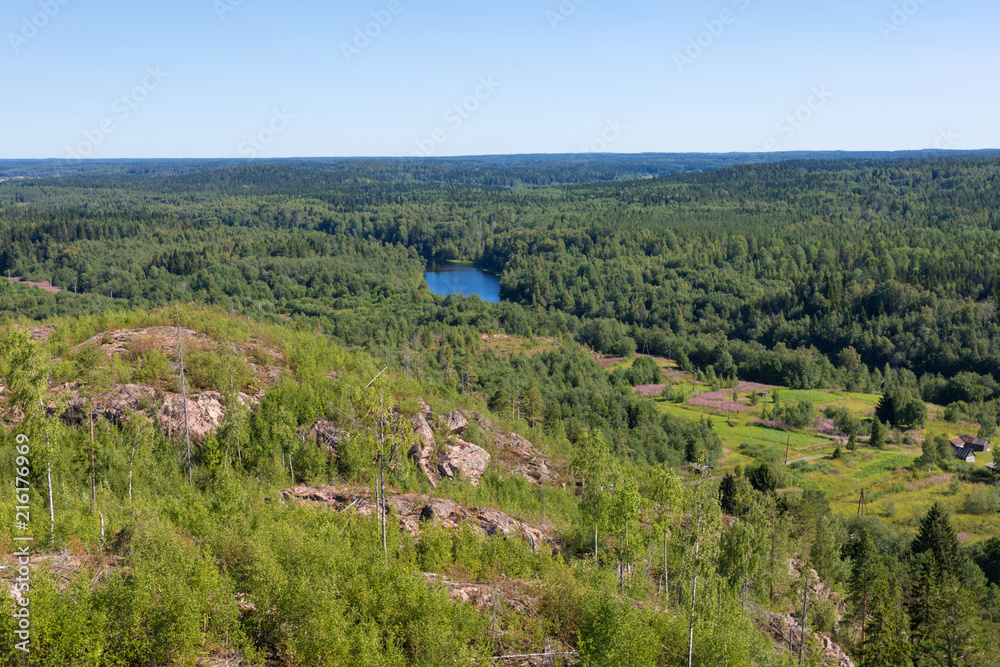 The village in the green forest of fir, spruce an pine trees on the river bank near the shore of the Ladoga in Russia lake in the sunny summer day