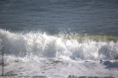 New Jersey Seashore © Anthony C Ellis