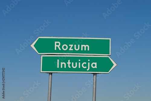 Rozum czy intuicja