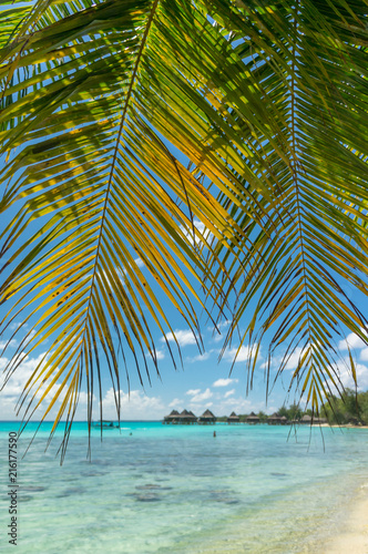 Paradise view of Rangiroa atoll  French Polynesia