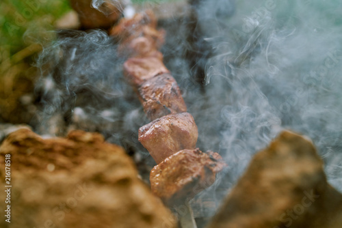 Shish kebab on the fire nature