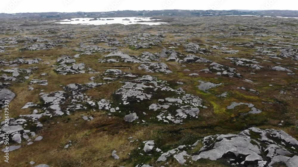 Rückwärtsflug über ein Hochmoor Rückwärtsflug über ein Hochmoor