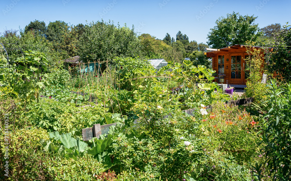 Garden shed ssurrounded by a kitchen garden