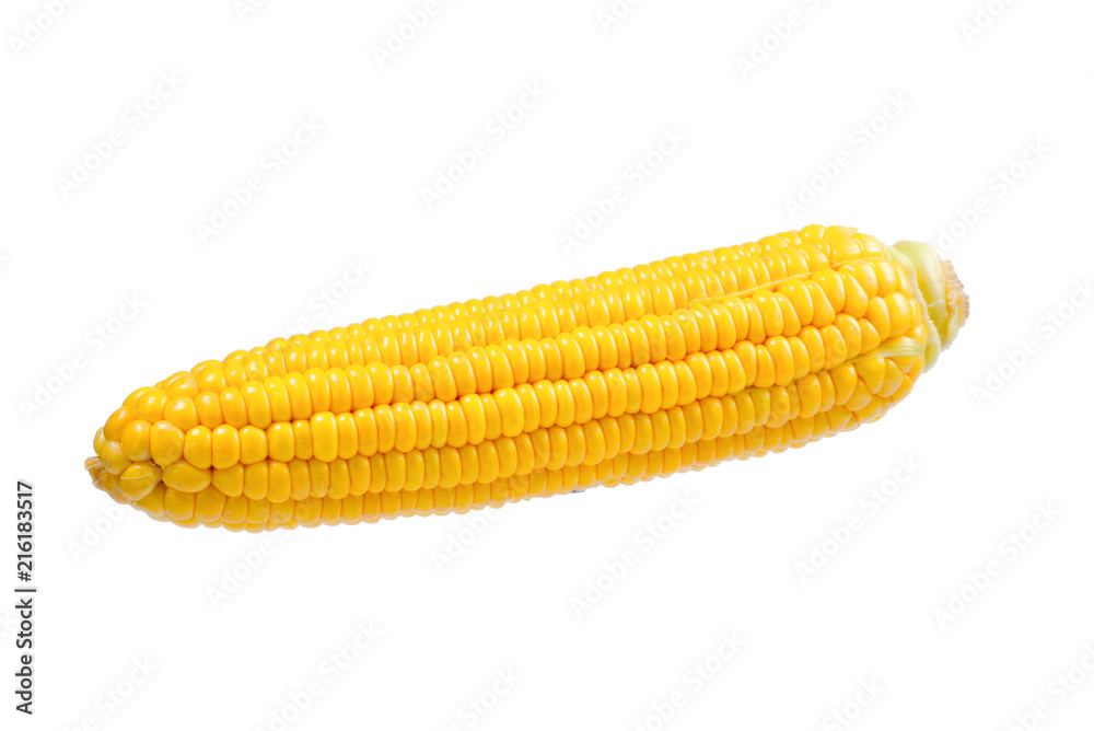 Yellow corn isolated on white background. Copyspace. Yellow corn isolated on white background. Copyspace.