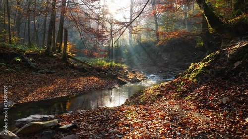 The river in autumn forest and the sun shining through the foliage.