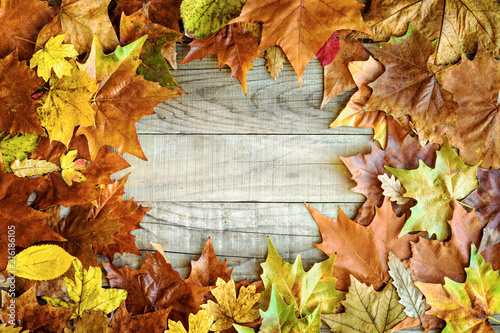 Autumn Holiday Background with Colorful Leaves