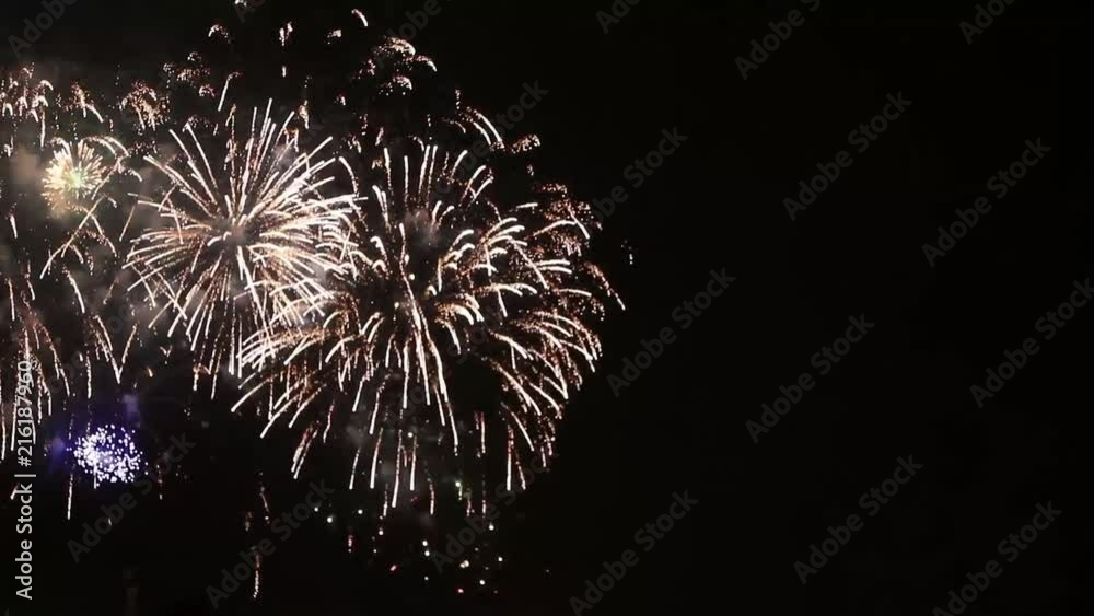 Beautiful fireworks flowers on the night sky. Brightly blue fireworks on dark black color background. Holiday relax time with a pyrotechnic show. Festive event accompanied by holiday salves.