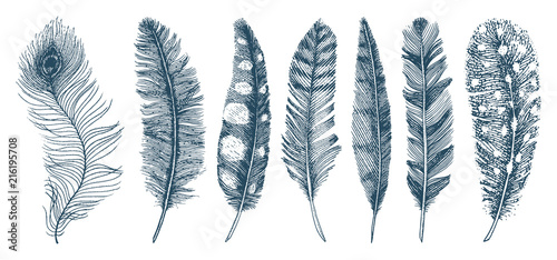 Set of Rustic realistic feathers of different birds, owls, peacocks, ducks. engraved hand drawn in old vintage sketch. Vector illustration.