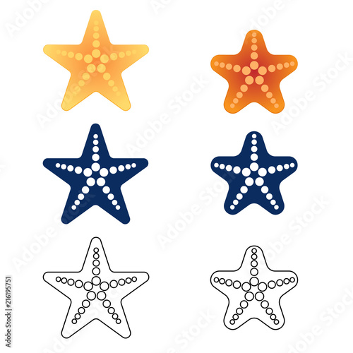 Starfish set on a white background. Vector