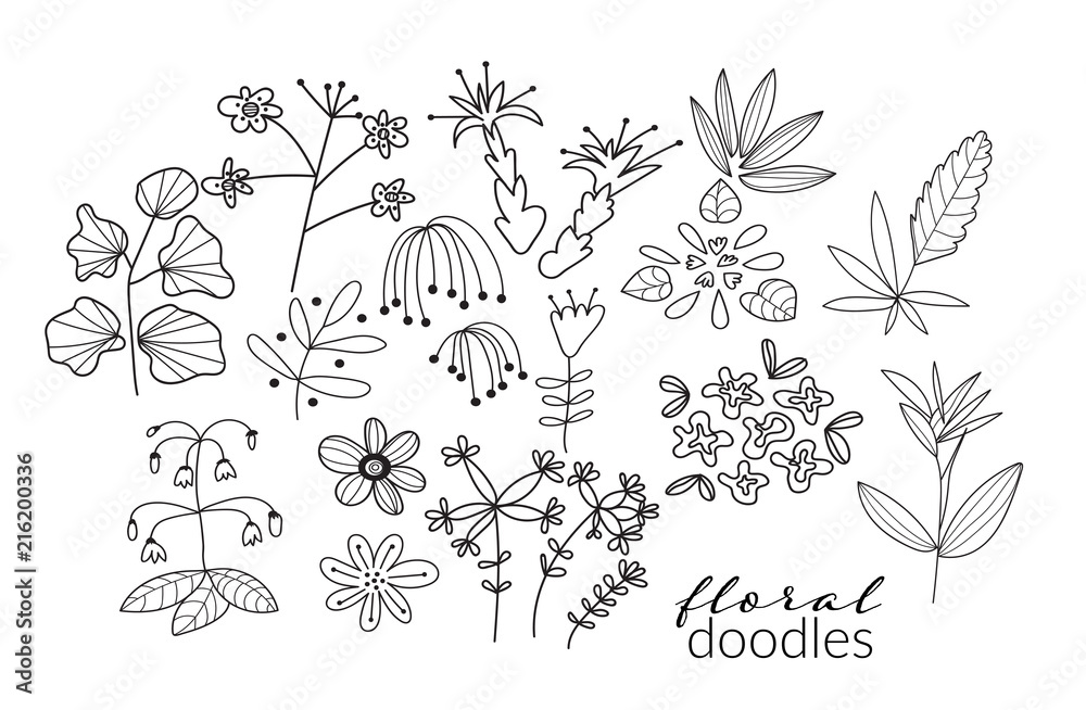 vector collection of botanical hand drawn doodles. meadow plants and flowers elements. pencil ink sketch of flowers and leaves. set of decorative elements 
