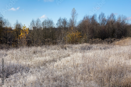 frosty morning on the outskirts of the city, in the background the outlines of the houses are visible