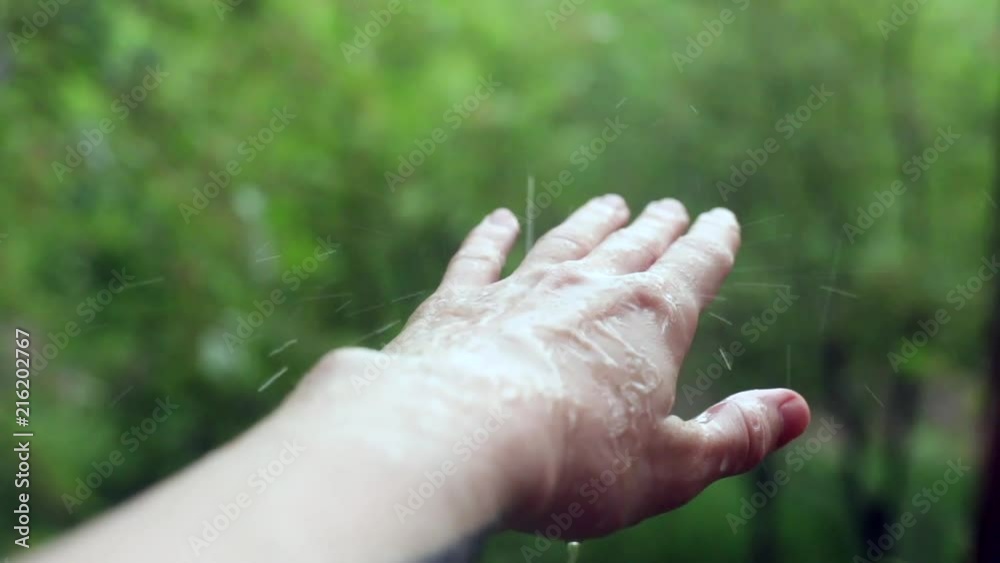 closeup view of female woman hand touching touch the rain in slow motion falling raindrops catching raindrop touching water beauty and power of nature sensitive touch green nature on background