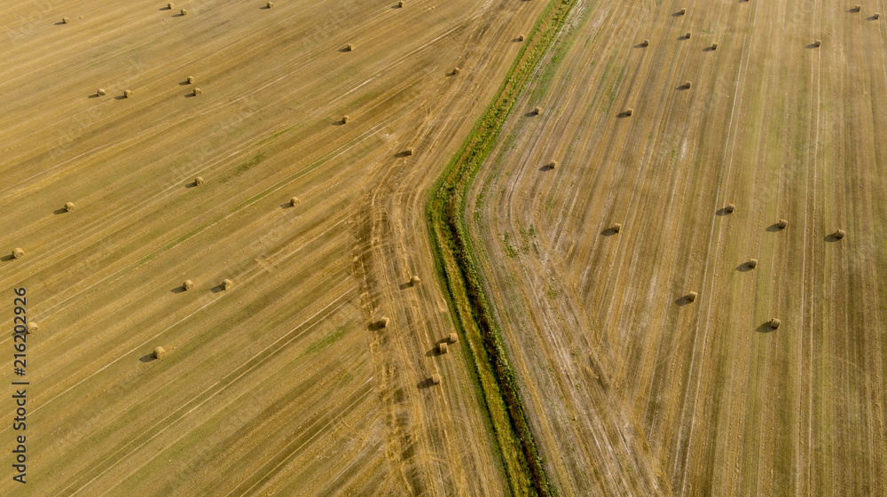 Agricultural Field With Bales Of Straw Agricultural Field With Bales Of Straw