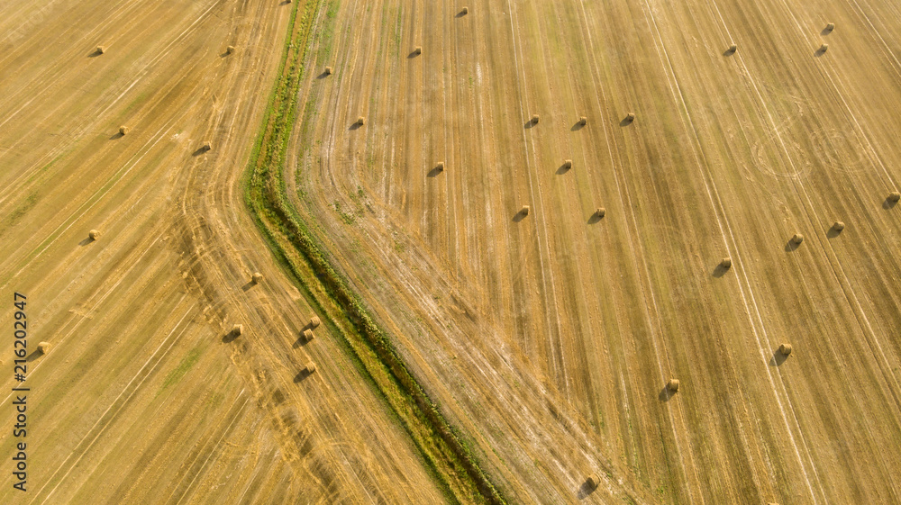 Agricultural Field With Bales Of Straw Agricultural Field With Bales Of Straw