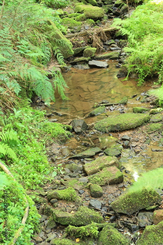 Die Lochbachklamm bei Wallenstein photo