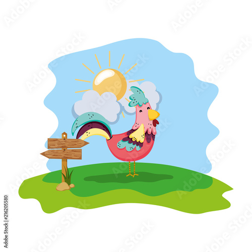 hen farm animal with wood notices