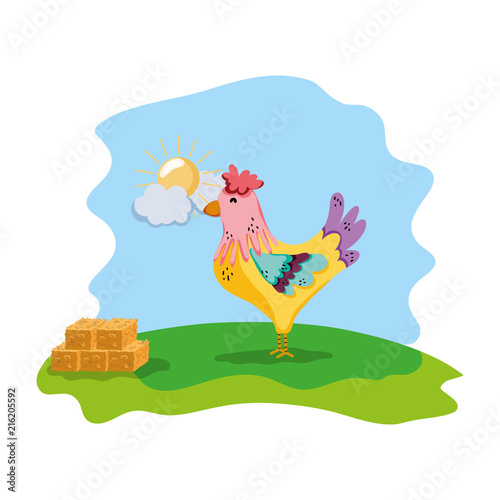 rooster farm animal with straw bale