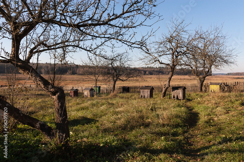 Beehives in the autumn orchard. Beekeeping in the autumn.