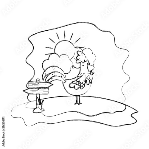 grunge hen farm animal with wood notices