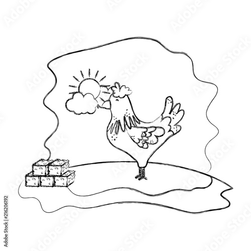 grunge rooster farm animal with straw bale