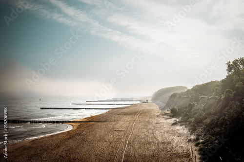 Fototapeta Naklejka Na Ścianę i Meble -  sandy beach by the baltic sea