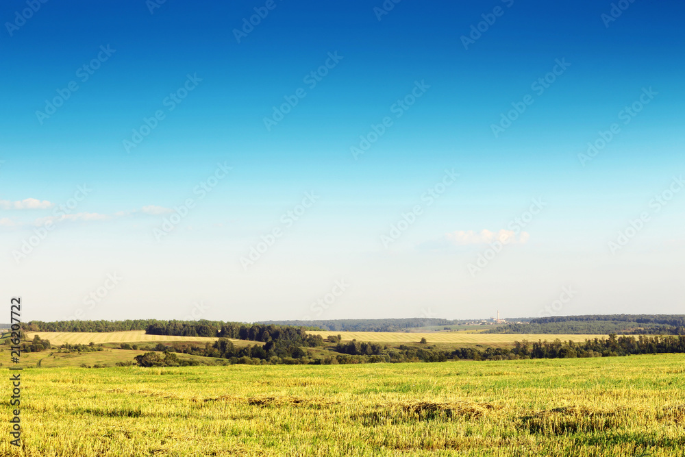 Landscape with field of grass and perfect sky