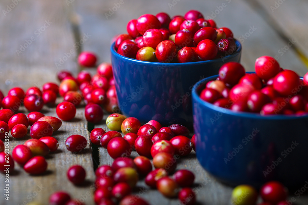 cranberries on a wooden table cranberries on a wooden table