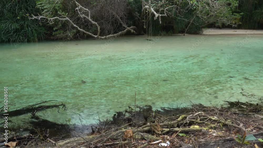 A Calm River With Clear Water In Jamaica A Calm River With Clear Water In Jamaica
