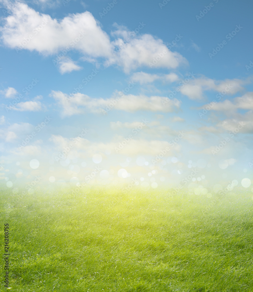 Obraz premium Spring grass and sky