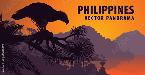 vector panorama of Philippines with philippine Eagle - Pithecophaga jefferyil and monkey photo
